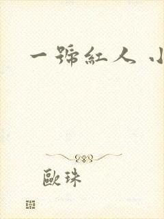 一号红人 小说