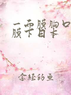 一面膜胸口一面膜下日本