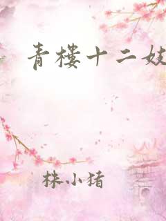 青楼十二妓