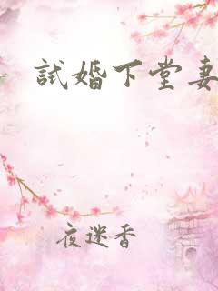 试婚下堂妻