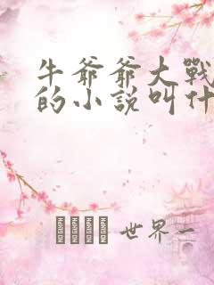 牛爷爷大战小丽的小说叫什么