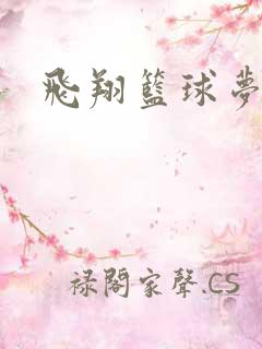 飞翔篮球梦下载