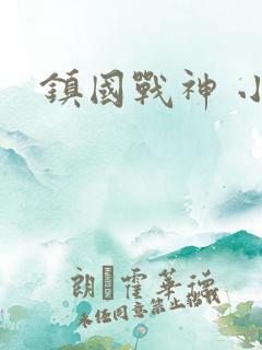 镇国战神 小说