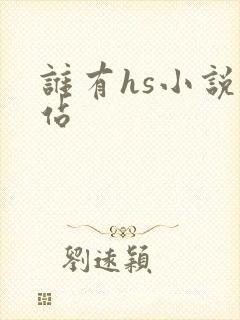 谁有hs小说网站