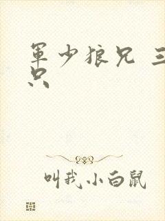 军少狼兄 三两只