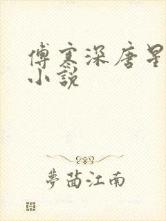 傅寒深唐星挽的小说