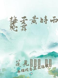 梅子黄时雨流光飞舞