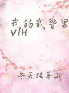 我的武警男友1V1H