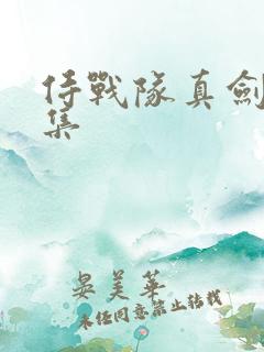 侍战队真剑者全集