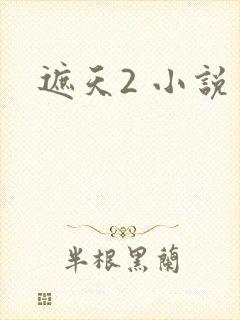 遮天2 小说