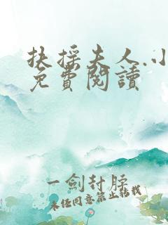 扶摇夫人.小说免费阅读