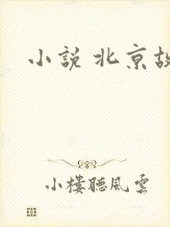 小说 北京故事