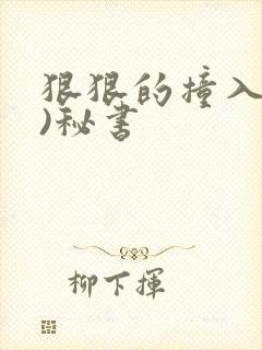 狠狠的撞入(h)秘书