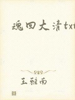 魂回大清txt