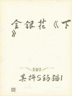 金银花《下厨房》