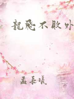 龙飞不败外传