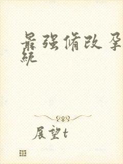 最强修改孕妇系统