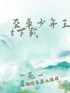 至尊少年王txt下载