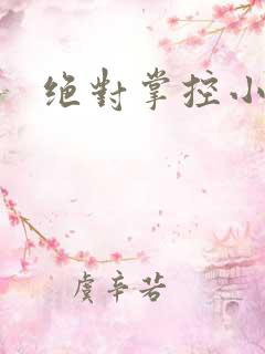 绝对掌控小说