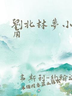 刘北林梦小说主角