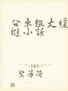 公车粗大缓缓挤进小说