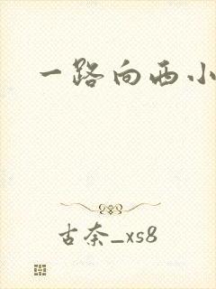 一路向西小说