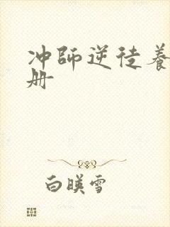 冲师逆徒养成手册