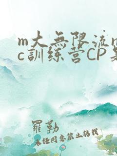 m大无限流npc训练营CP是