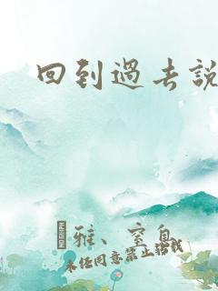 回到过去说爱你