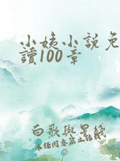 小姨小说免费阅读100章