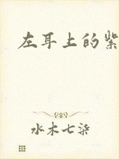 左耳上的紫水晶