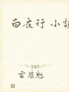 白夜行 小说