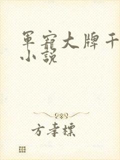 军宠大牌千金 小说