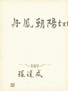 丹凤朝阳txt