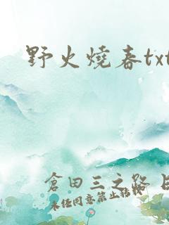 野火烧春txt