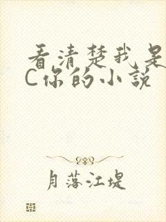 看清楚我是怎么C你的小说