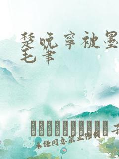 楚晚宁被墨燃塞毛笔