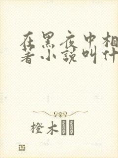 在黑夜中相拥原著小说叫什么