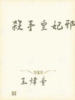 杀手皇妃邪魅帝