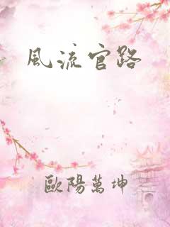 风流官路