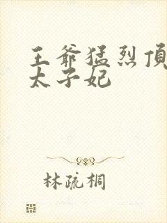 王爷猛烈顶弄H太子妃