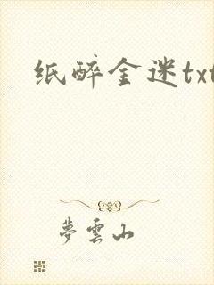 纸醉金迷txt