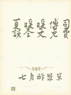 夏暖暖傅司寒小说全文免费阅读