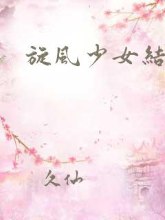 旋风少女结局