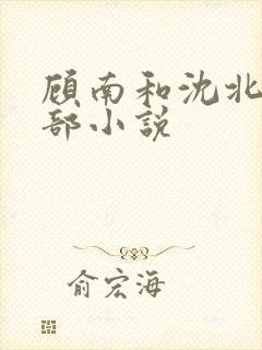 顾南和沈北是哪部小说