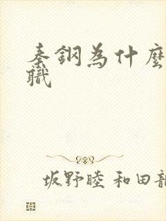 秦钢为什么被解职