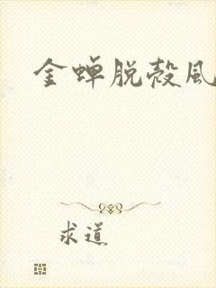 金蝉脱壳风弄