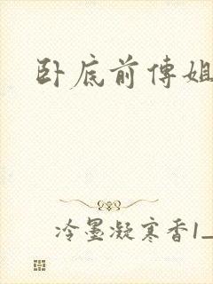 卧底前传姐妹篇