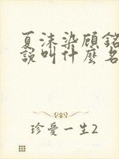 夏沫染顾铭修小说叫什么名字