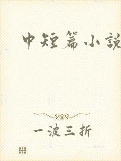中短篇小说集